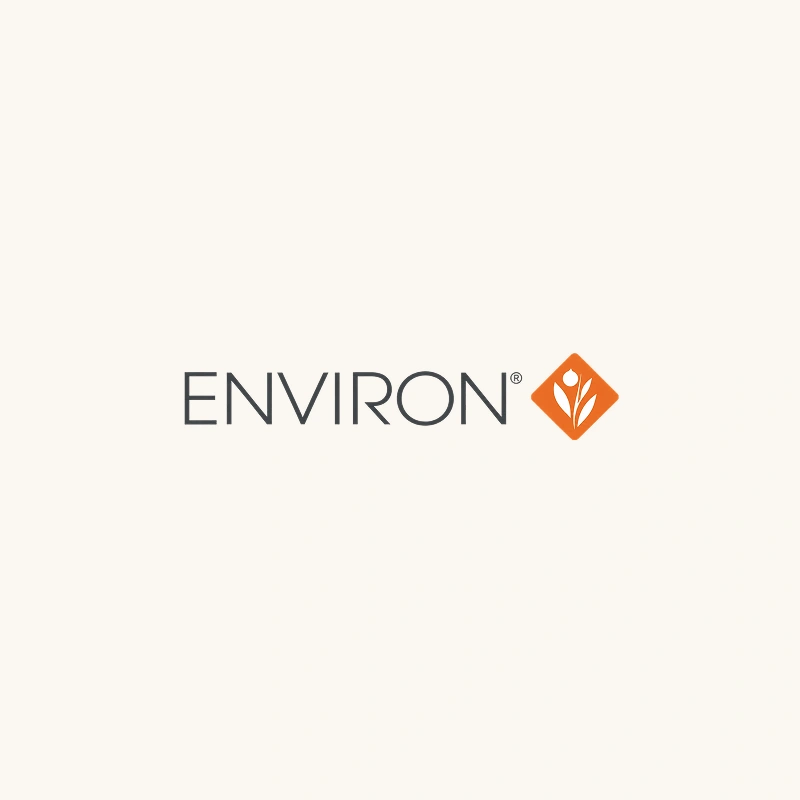 Environ 1